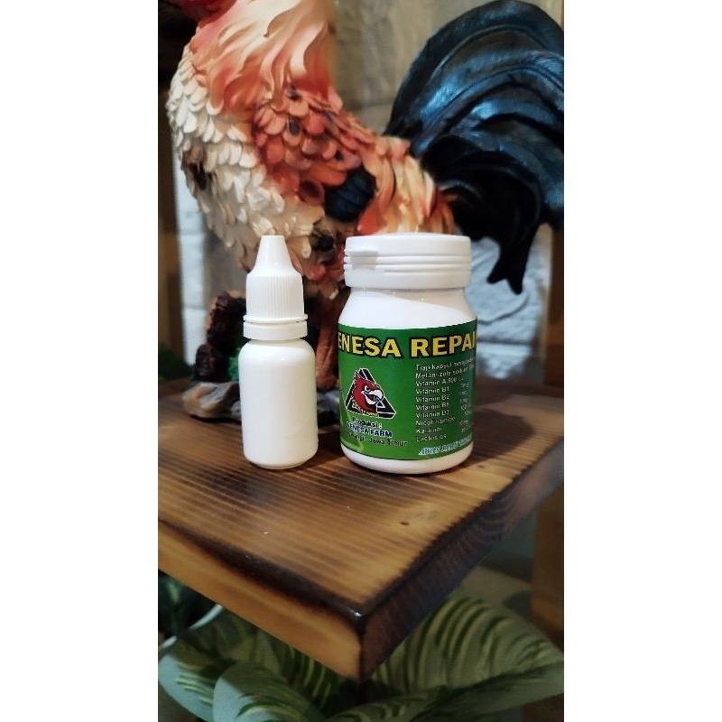Jual Satu paket Obat Lumpuh,tedun,pincang,cikung,radang dingin (Venesa ...