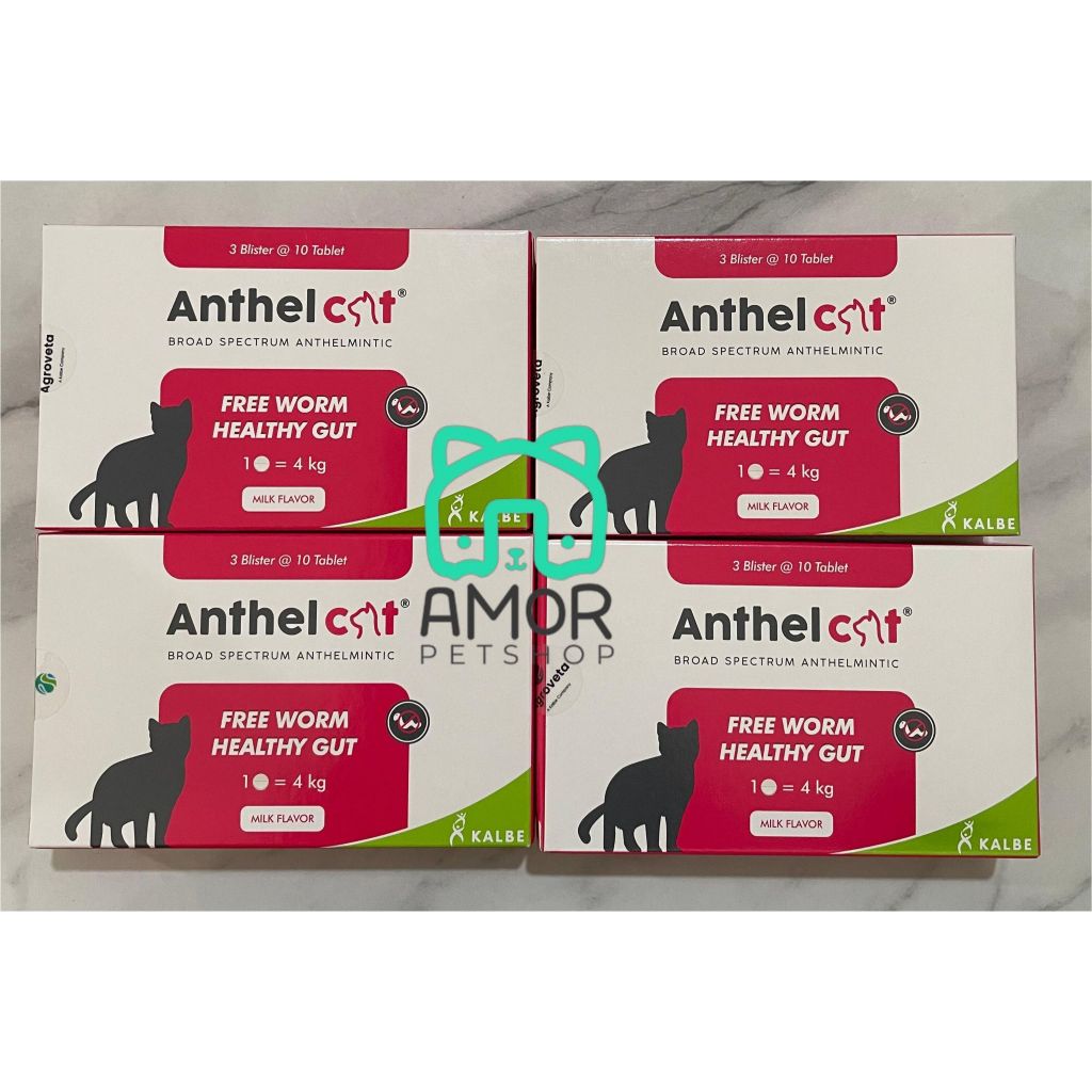 Jual ANTHEL CAT 1 BOX ISI 30 TAB - OBAT CACING KUCING ORIGINAL | Shopee ...