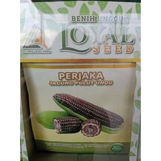 Jual Rumah Perjaka Terlengkap & Harga Terbaru Desember 2025 Shopee