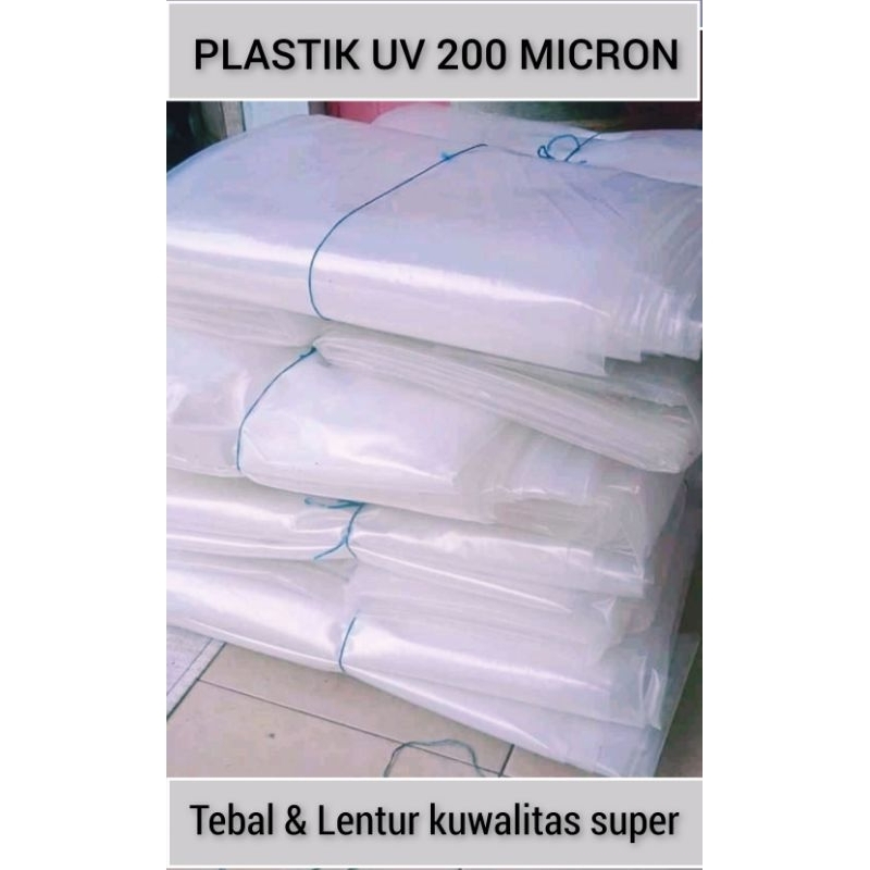 plastik UV 200 micron ukuran 4x6 meter