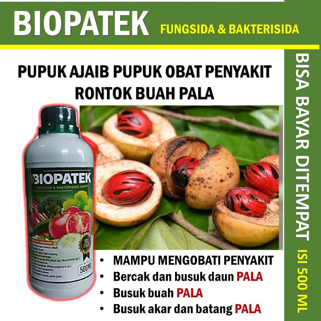 Jual TERLARIS OBAT RONTOK MUDA PADA BUAH PALA terbaik isi 500 ml ...