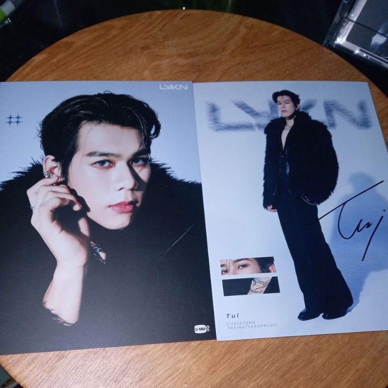 その他 LYKN UNLEASHED CONCERT JUMBO POSTCARD LYKN UNLEASHED CONCERT JUMBO POSTCARD - メルカリ