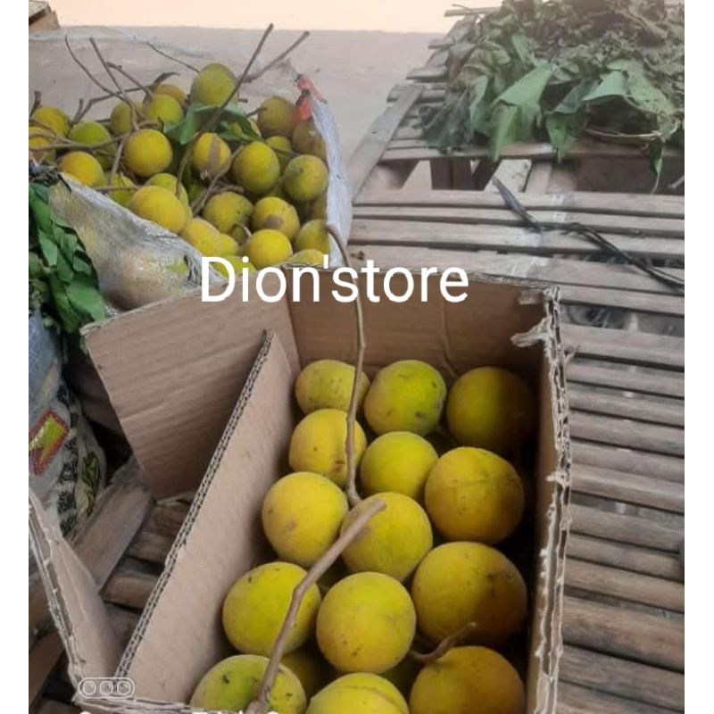 Jual Kecapi Fresh 1kg Petik Langsung Pohon | Shopee Indonesia
