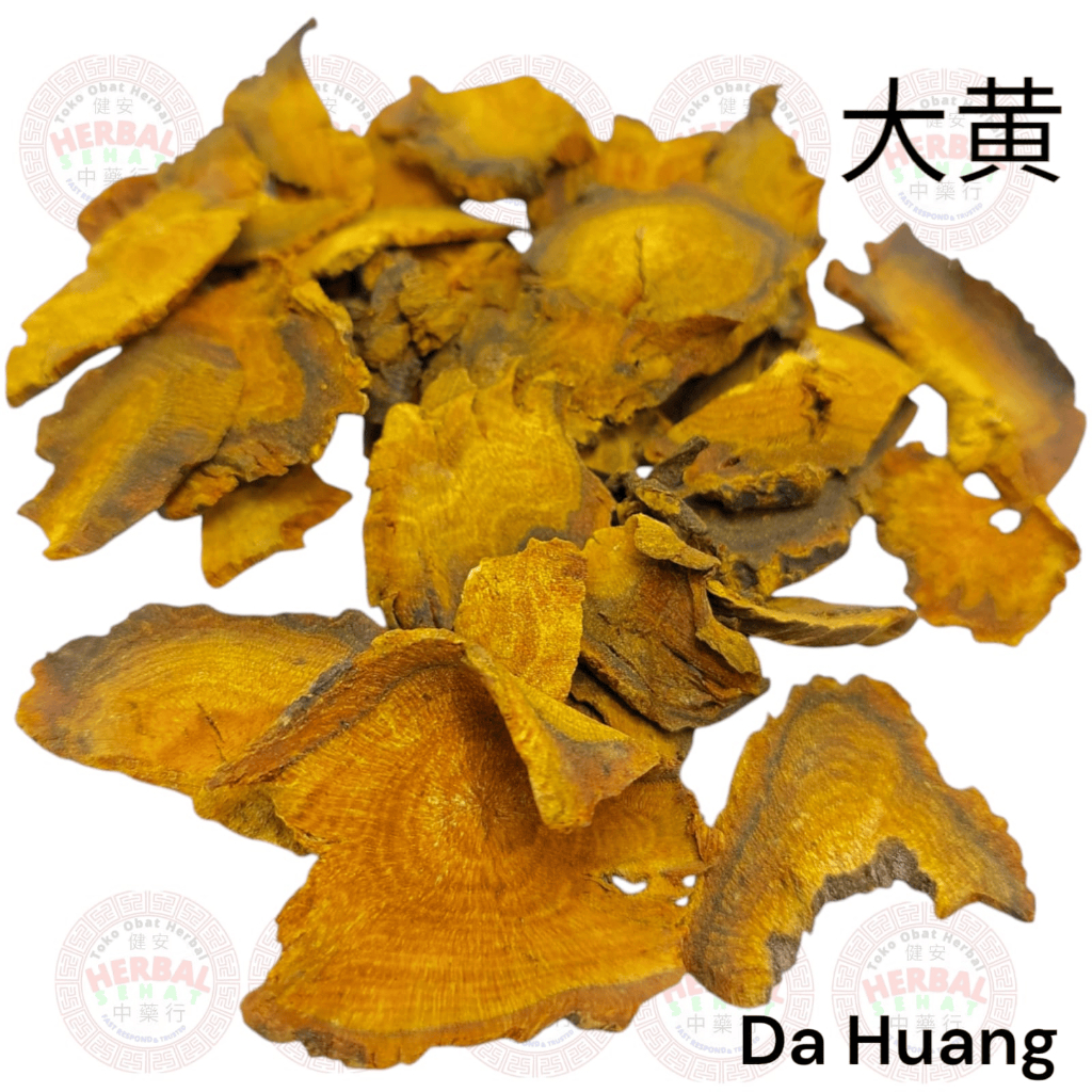 Jual Da Huang Pian 25g 50g 100g Dahuang - Radix Et Rhizoma Rhei - Thai ...