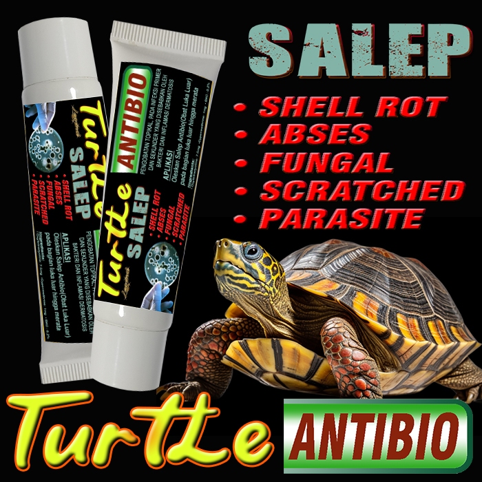 Jual TURTLE ANTIBIO SALEP OBAT PENYAKIT TEMPURUNG CARAPAS KULIT TURTLE ...