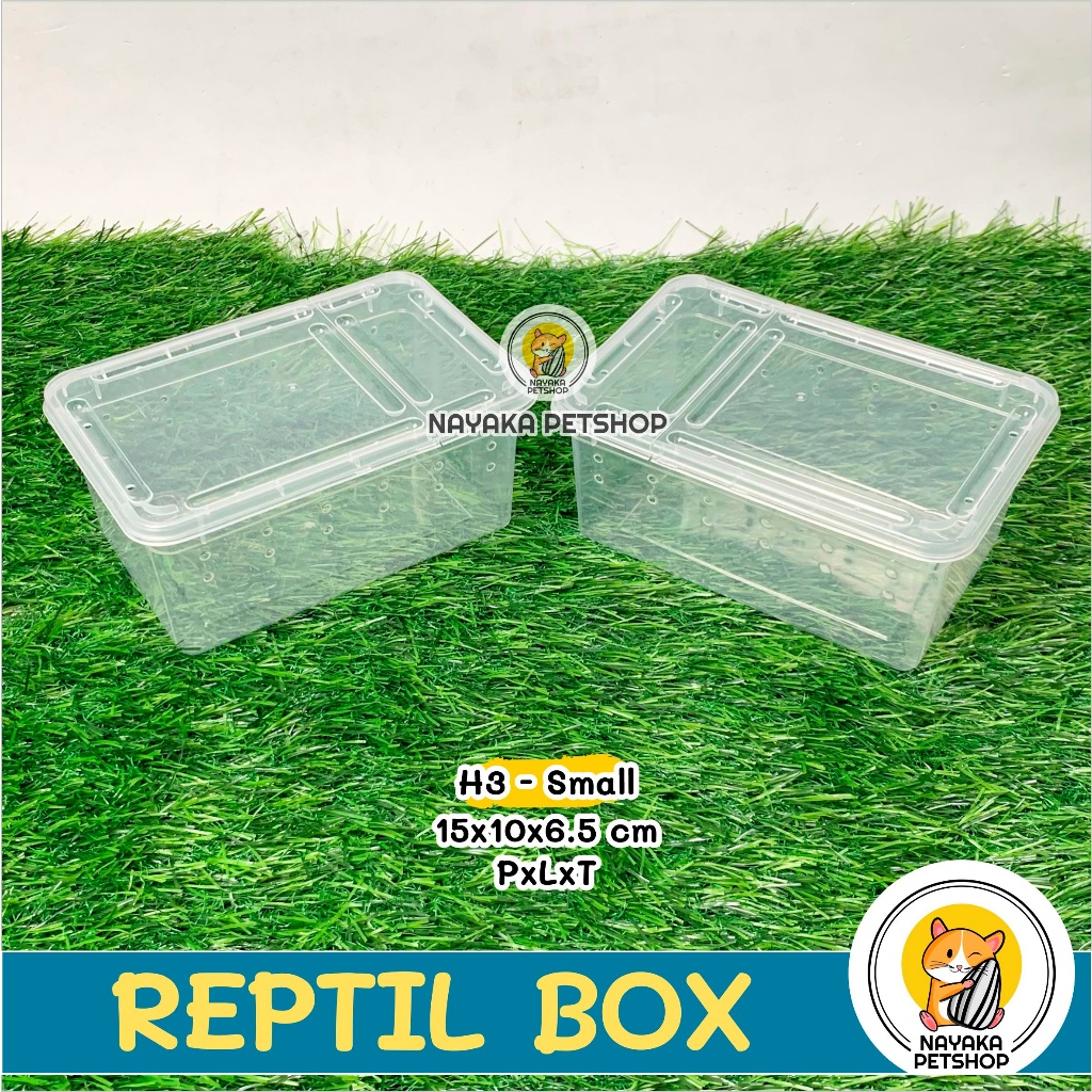 Jual Reptil Box H3 Small Kandang Kura Kura Brazil Sarang Hewan Wadah ...