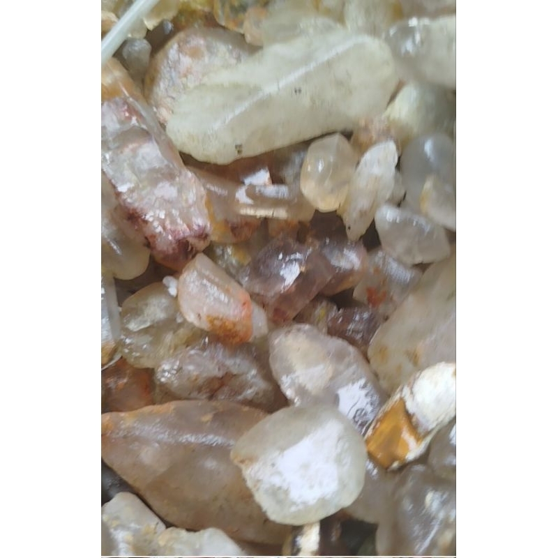 Jual bahan RANDOM batu kinyang karang air dan teh harga per pcs ...