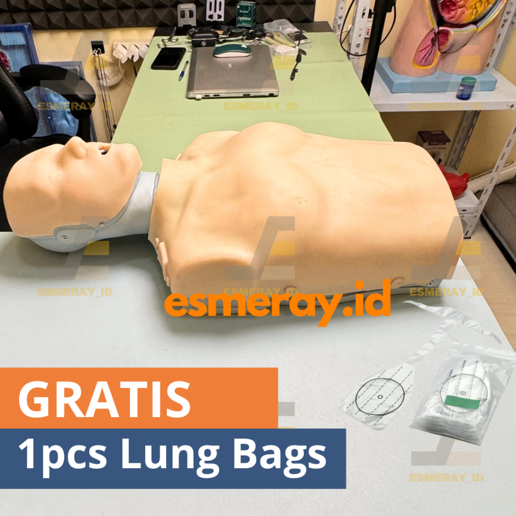 Jual []N0N PRESTAN] Manikin CPR/Phantom BHD/RJP-Alat Peraga Pendidikan ...