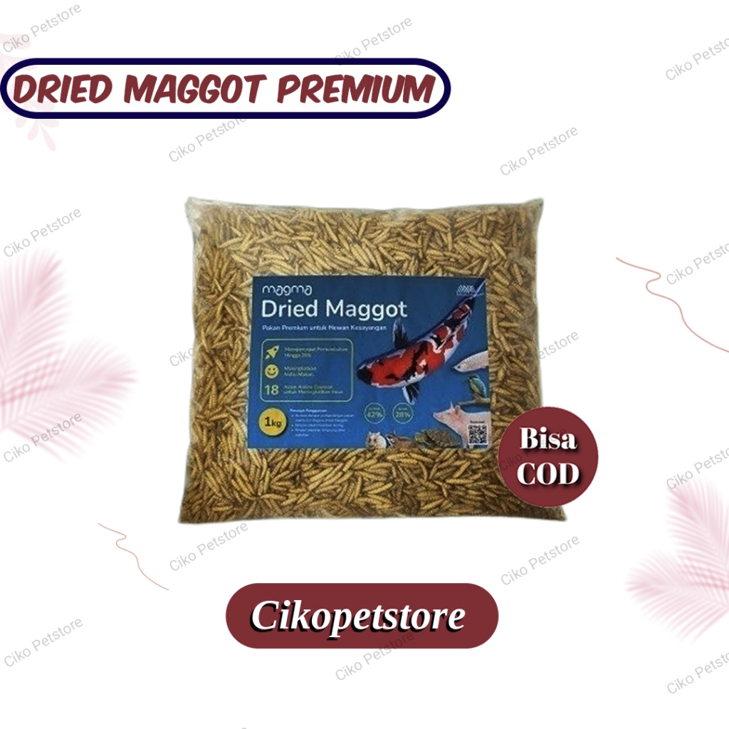 Jual Dried Magot Maggot Kering BSF Grade A+ Premium - Pakan Ikan Hias ...