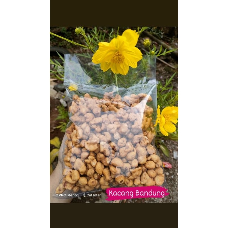 Jual Kacang Bandung - Cut Intan Snack | Shopee Indonesia