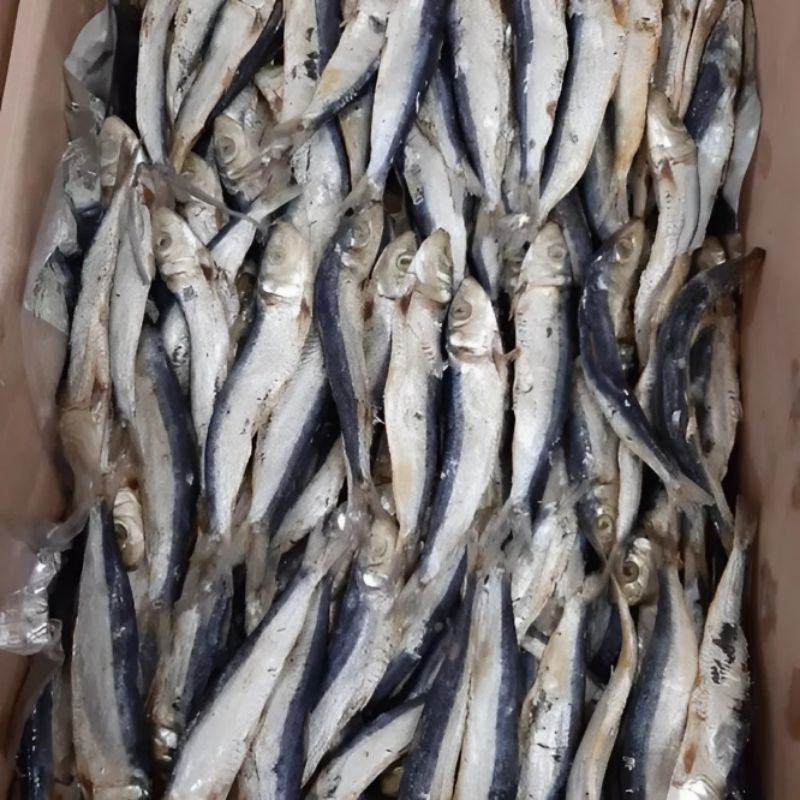 Jual ikan asin japuh 250gr | Shopee Indonesia