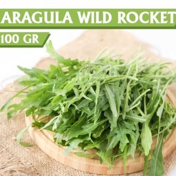 Jual SELADA ARAGULA ORGANIK SEGAR FRESH RUCOLA ROCKET WILD LETTUCE ...