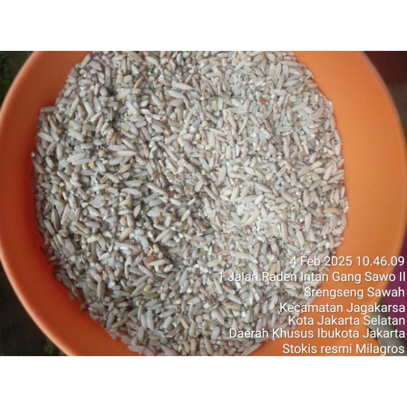 Jual Beras Rijek Paket 25 kg | Shopee Indonesia
