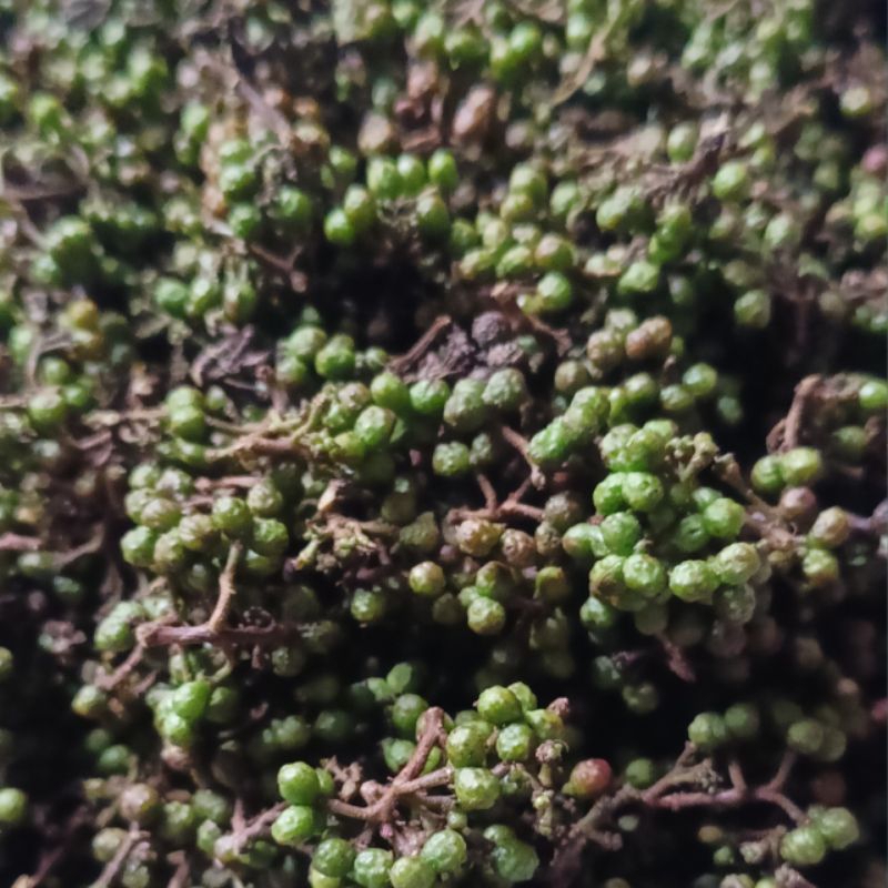 Bumbu Khas Masakan Batak Andaliman dan Rias