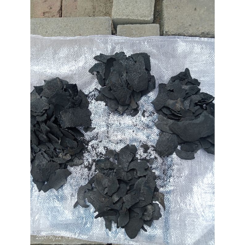 Jual arang batok areng batok kelapa | Shopee Indonesia