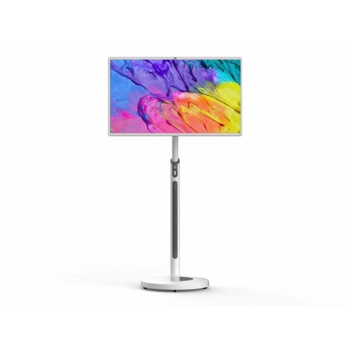 Jual Best Friend Machine Interactive Flip Pro 24 inch TCD24-1 ...