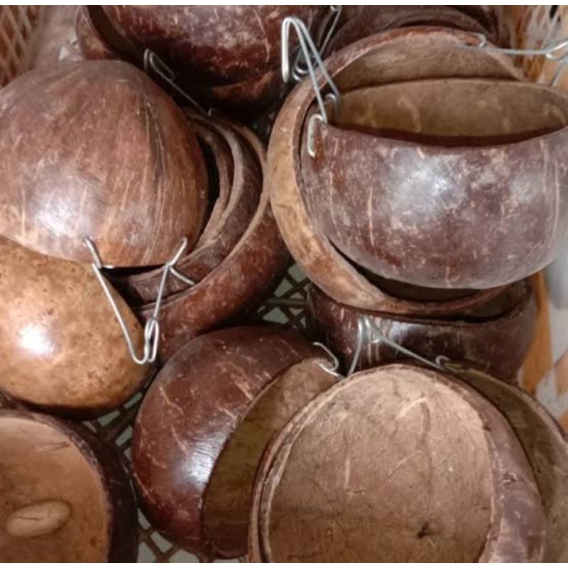 Jual Cepuk Batok Kelapa Tempat Pakan Minum Ayam Burung | Shopee Indonesia