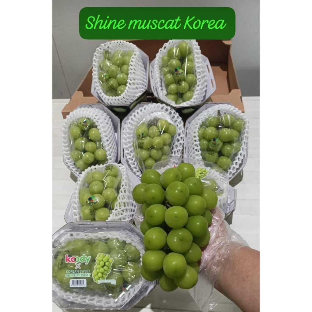 Jual Anggur Koody Shine Muscat - Kyoho - Red Claret Korea 1 Dus (9 Pack ...