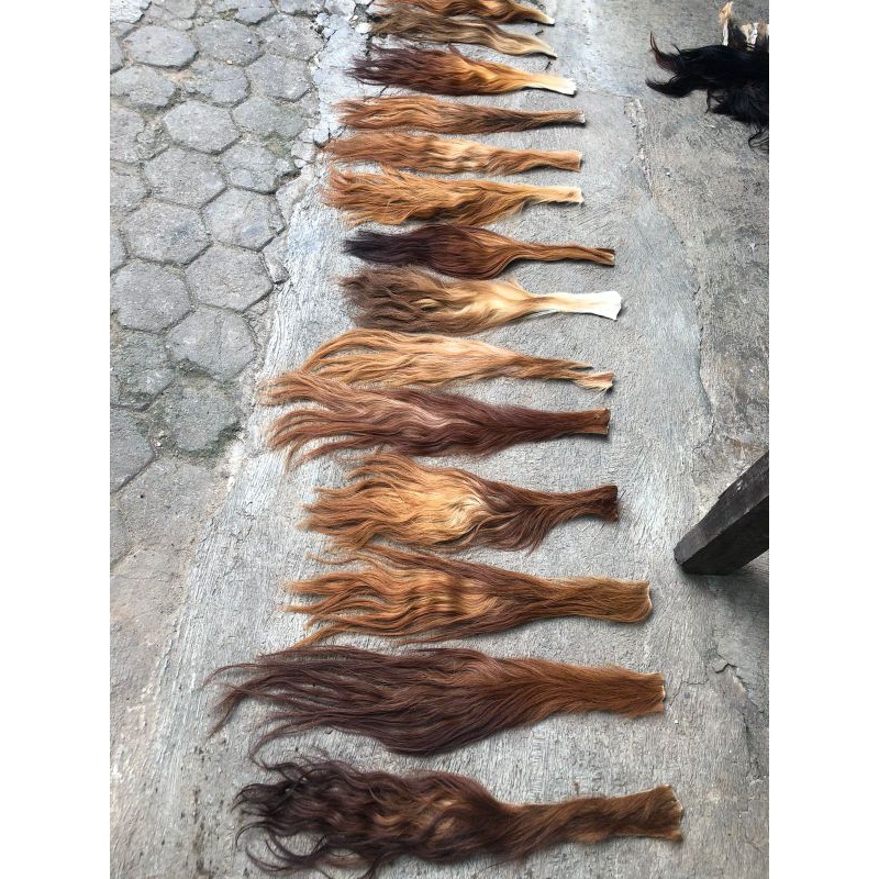 Jual EKOR/BUNTUT SAPI SUPER (RAMBUT BARONGAN) | Shopee Indonesia