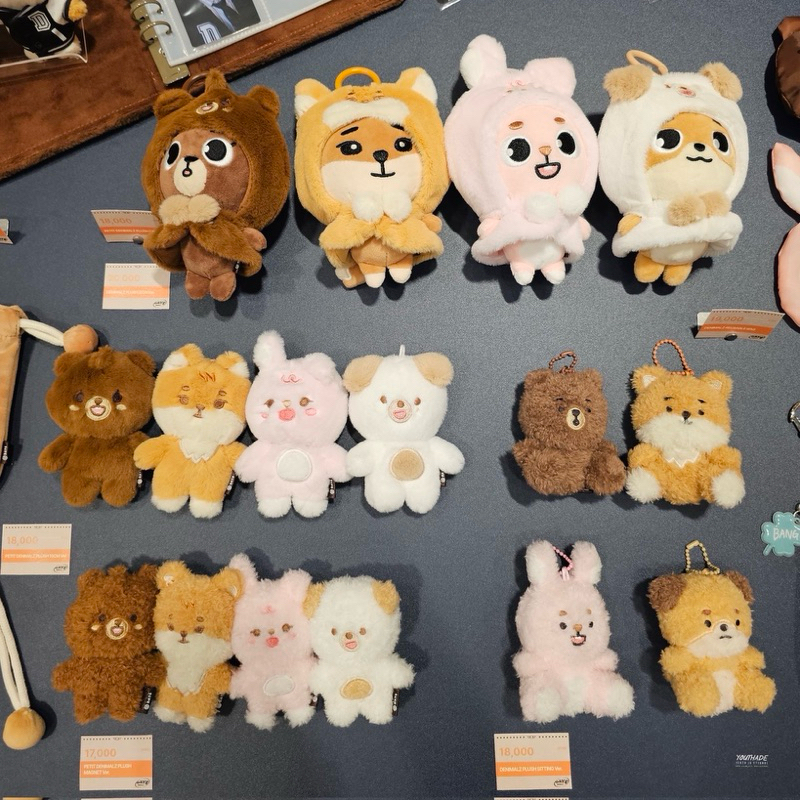 DAY6 PETIT PLUSH 10cm ドウン dowoon don DAY6 PETIT PLUSH 10cm ドウン dowoon don DAY6 PETIT PLUSH