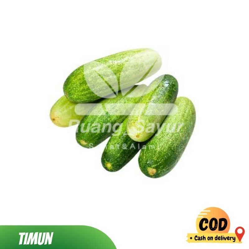 Jual Timun ,Timun fresh , Ketimun 500 gram , Timun 1 Kg | Shopee Indonesia