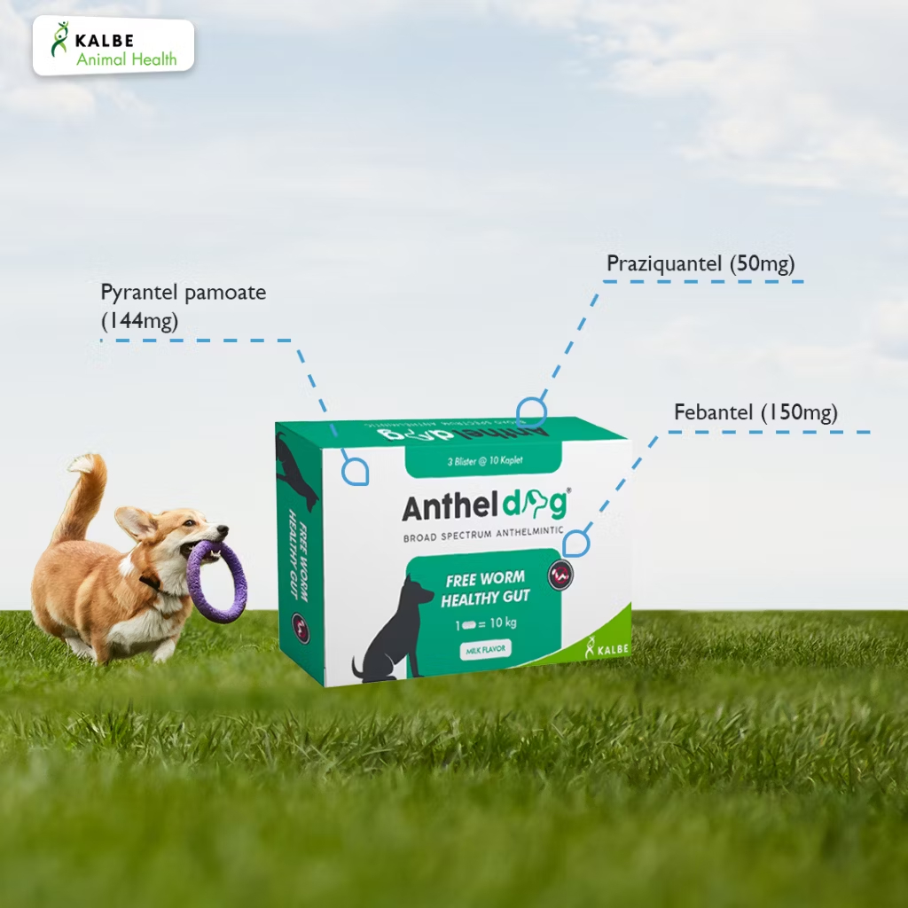 Jual Anthel Cat 1 tablet Obat cacing kucing | Shopee Indonesia