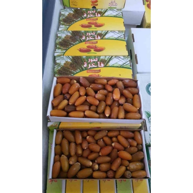 Jual Kurma Ruthob Fresh 1kg | Shopee Indonesia