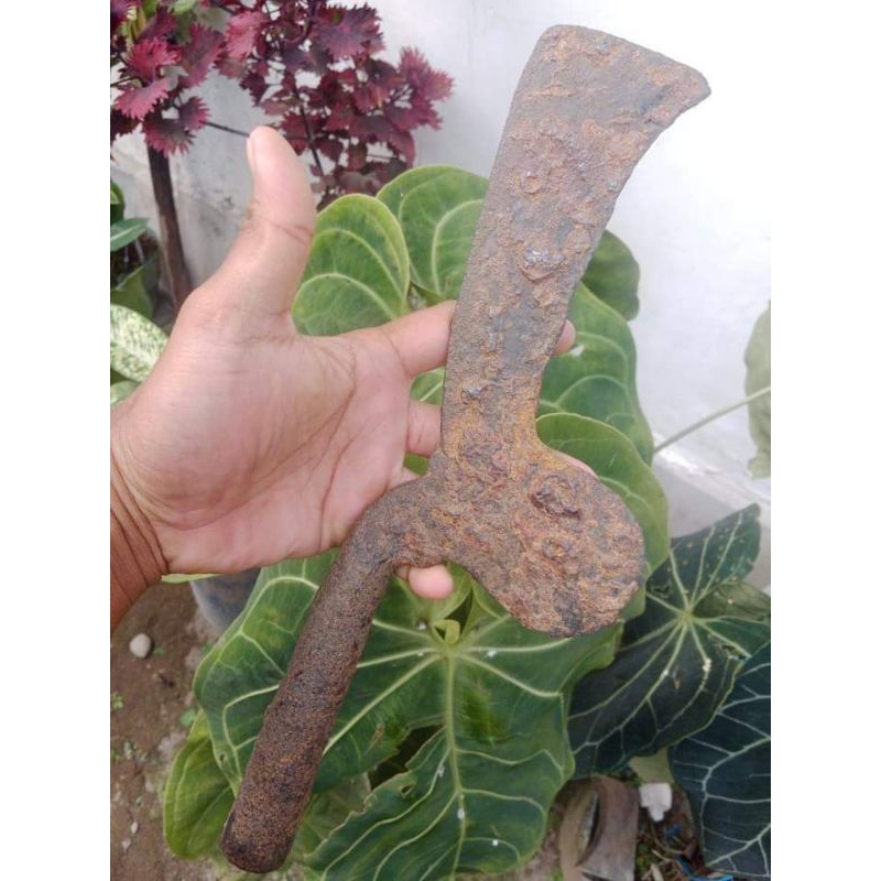 Jual Artefak Kudi Temuan Sungai | Shopee Indonesia