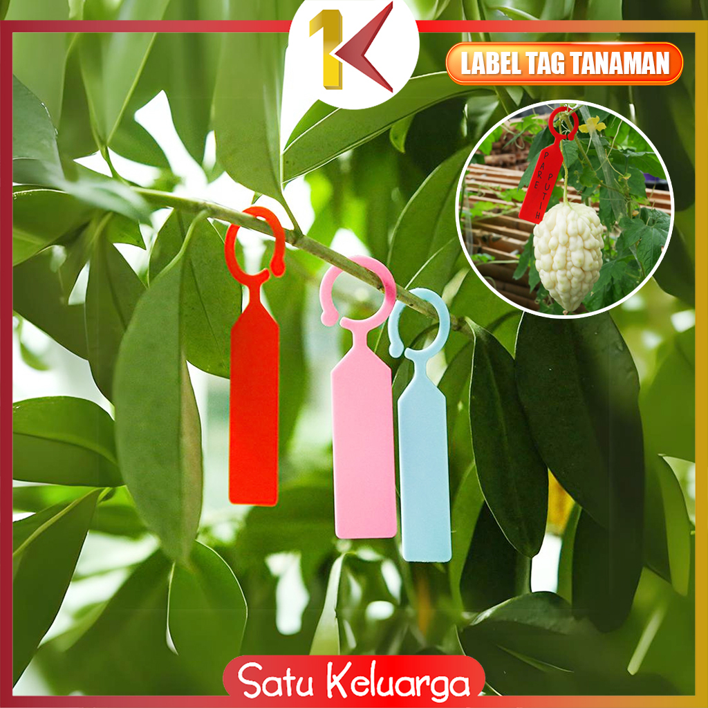 Jual SK-C1164 Plant Label Name Tag Label Penanda Tanaman Hanging Ring ...