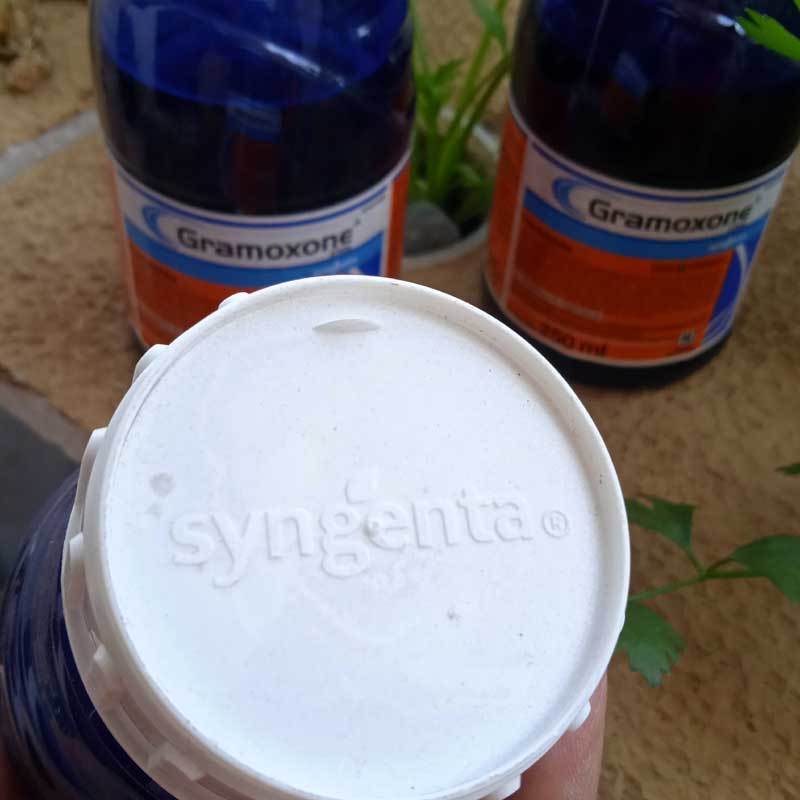 Jual [Anti Rumput] HERBISIDA GRAMOXONE GROMOSON GRAMASON 250 ML ...