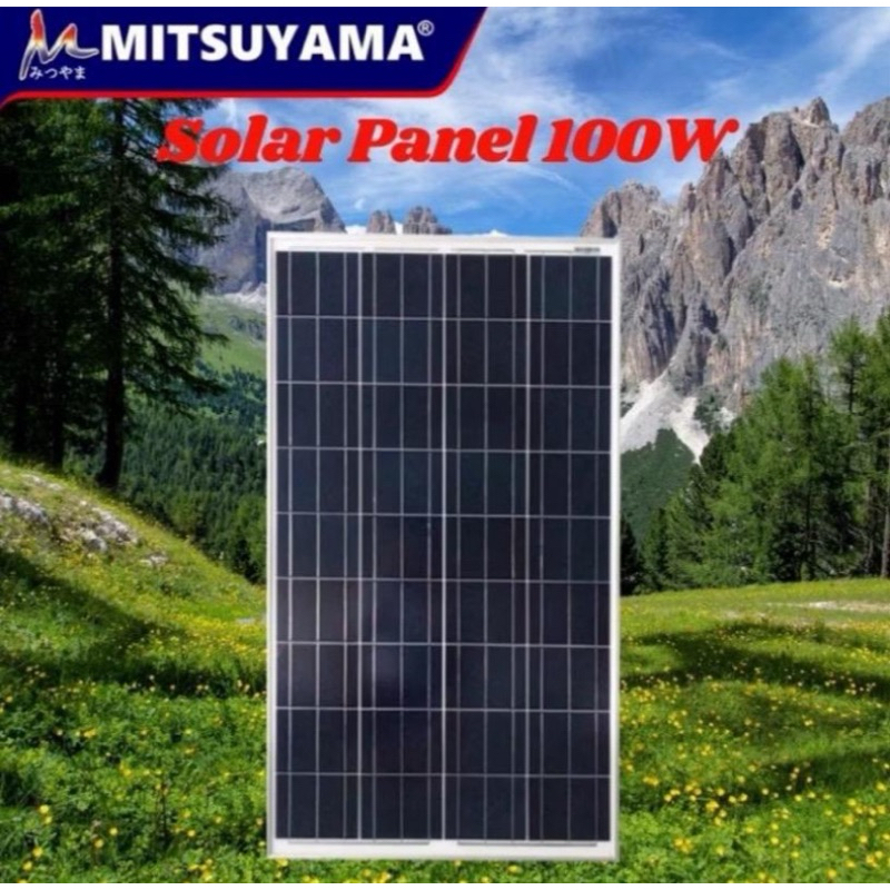 Jual Solar Panel 100wp Poly Crystalline Solar Cell Panel Surya 100 WATT ...