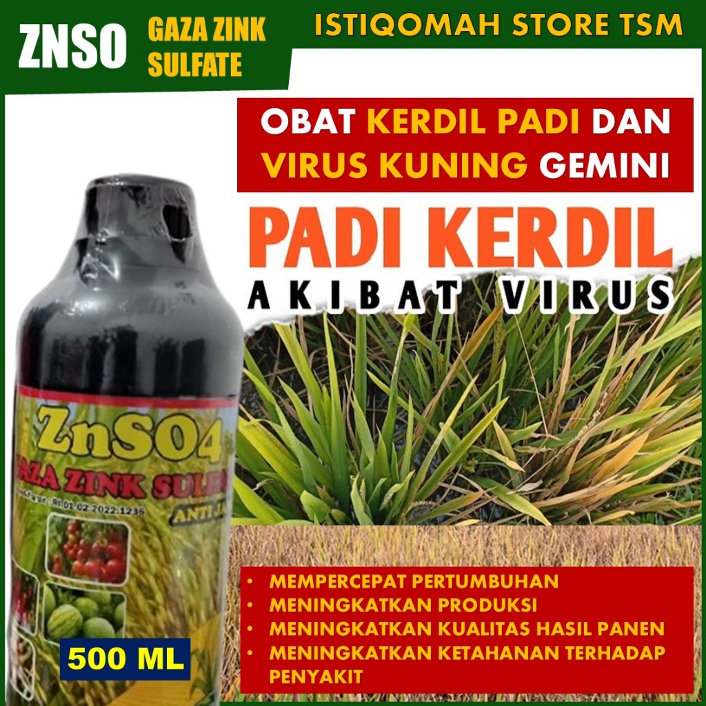 Pupuk Super ZnSO4 500 ML Selamatkan Padi dari Kerdil & Virus Kuning, Hasil Panen Melimpah