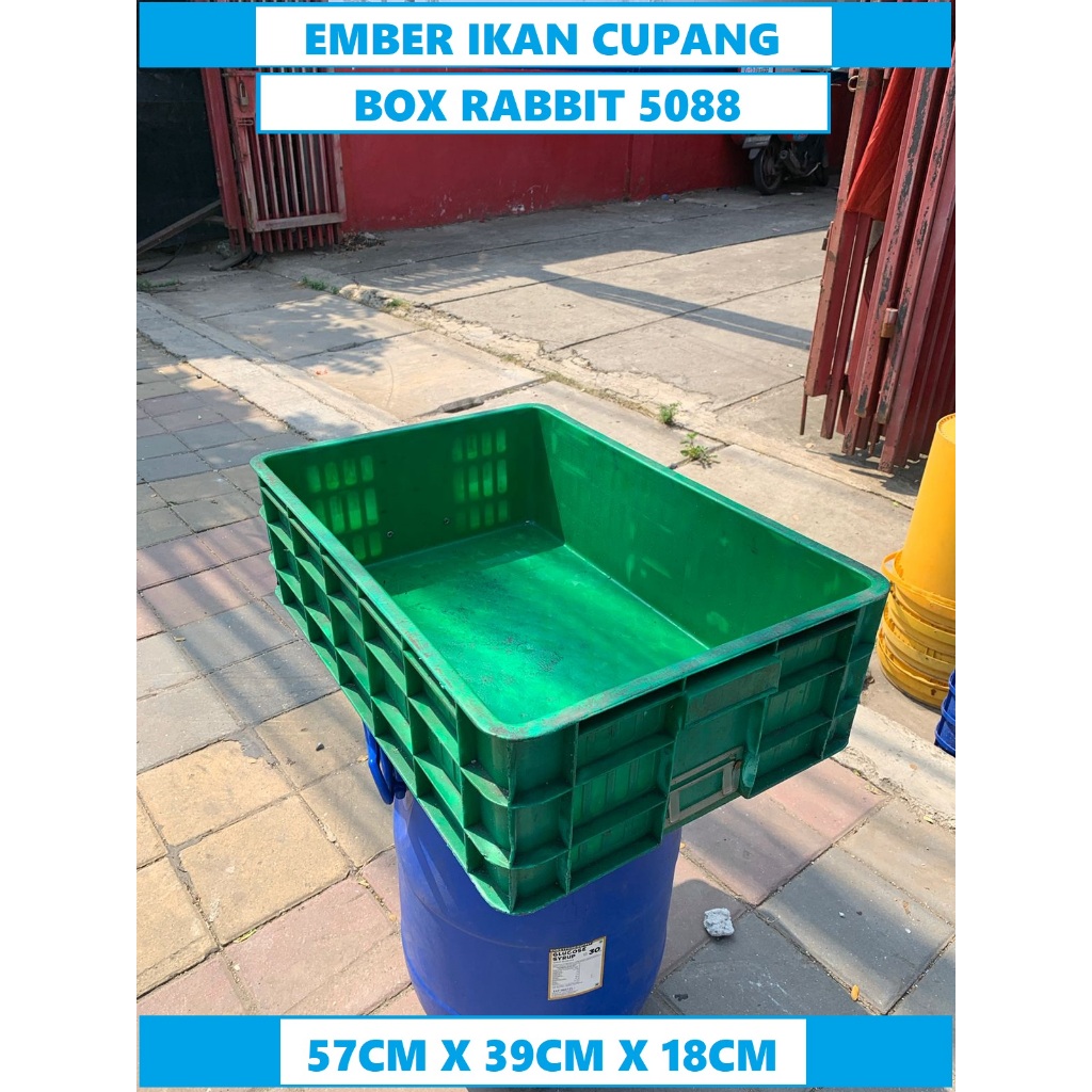 Jual Box Cacing Sutra Box Pasir Kucing Box Plastik Rapat Box Rabbit ...