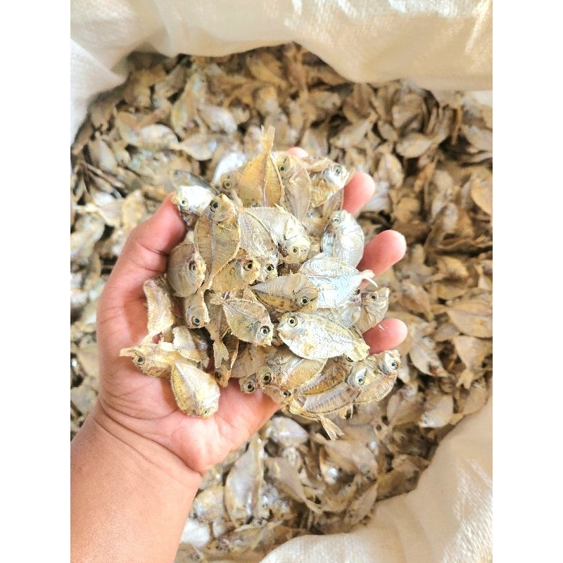 Produk Pacific Harvest | Shopee Indonesia