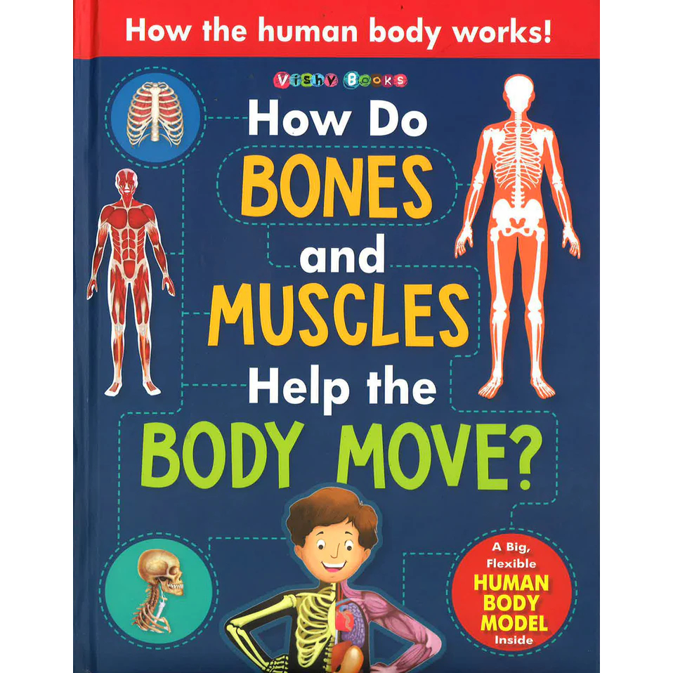 Jual How Do Bones And Muscles Help The Body Move | Shopee Indonesia