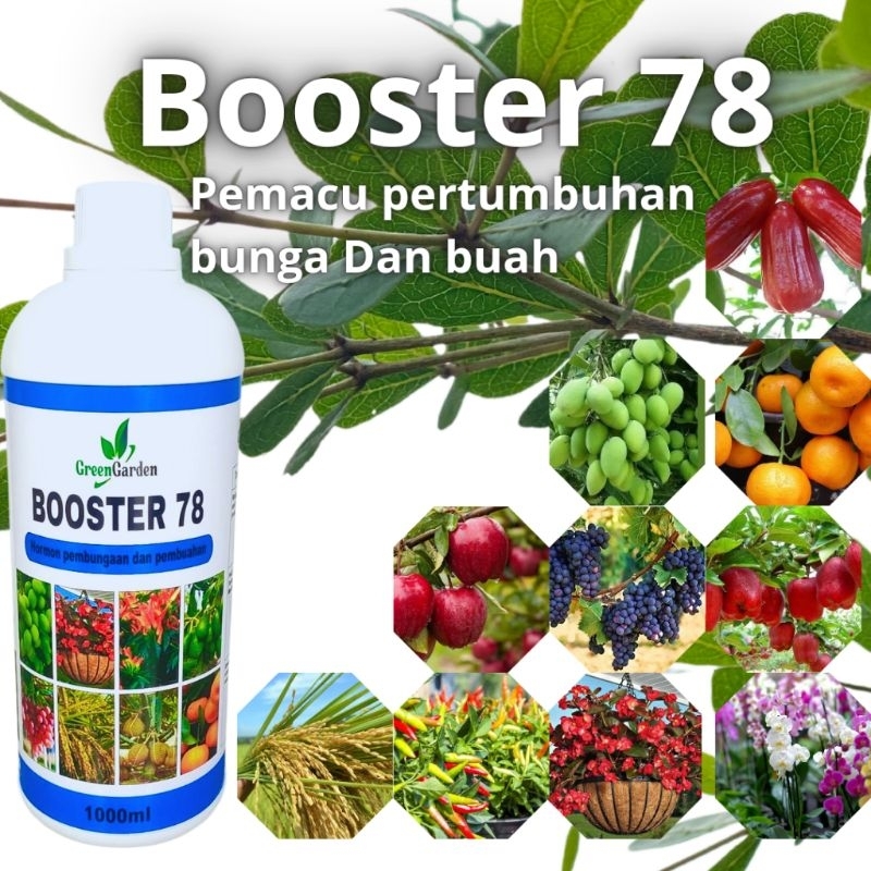 Jual booster 78 original 1liter pemacu pembungaan dan pembuahan ...
