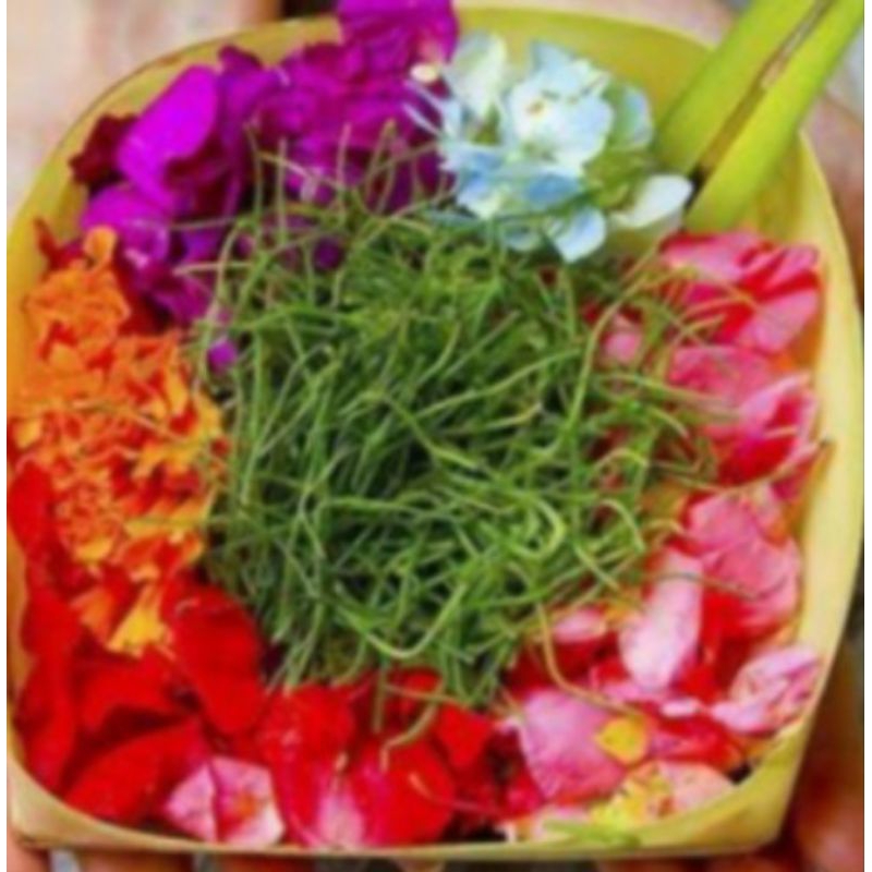 Jual bunga/kembang 7 rupa paket komplit | Shopee Indonesia