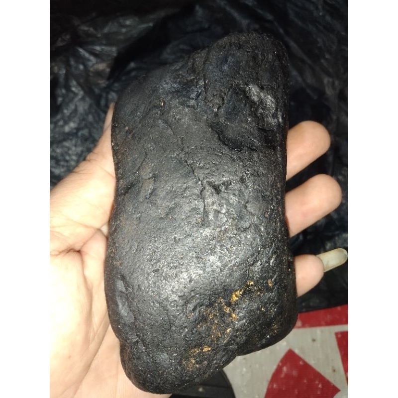 Jual batu galih gembol pohon pule | Shopee Indonesia