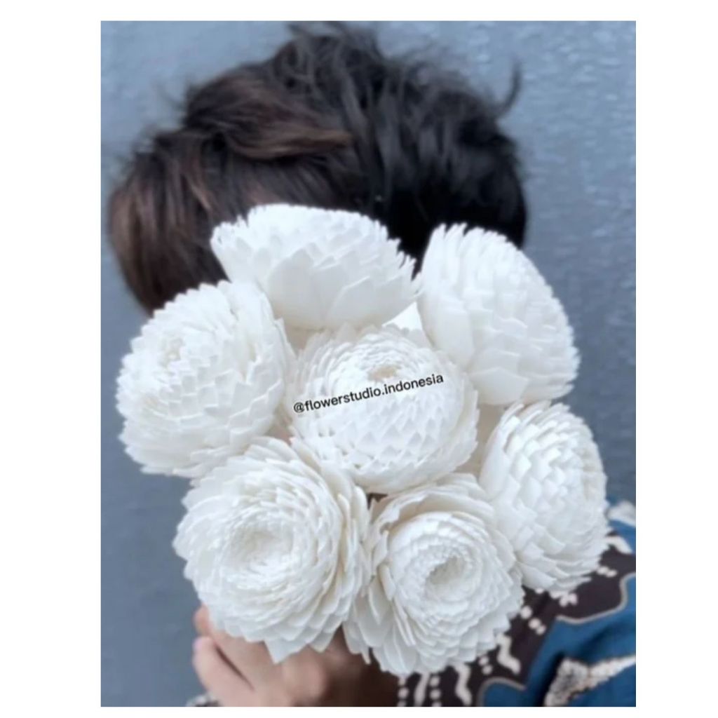 Jual Sola peony mum | Shopee Indonesia