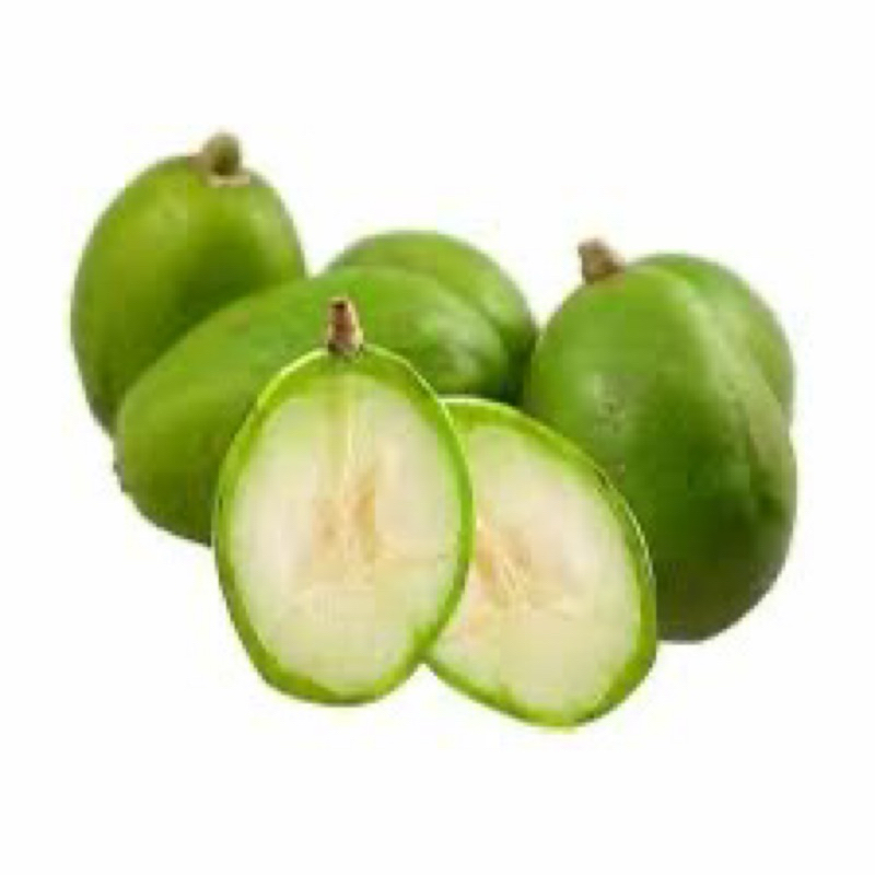 Jual Kang Pelem - Kedondong Super | Kedondong Bangkok | Cocok Untuk ...