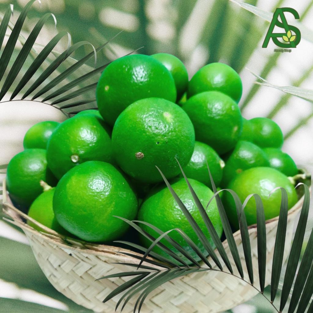Jual JERUK NIPIS TERMURAH 1KG FRESH DI LANGSUNG PETIK DARI POHON ...