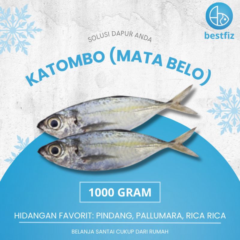 Jual Ikan Katombo | Shopee Indonesia