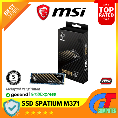 MSI Spatium M371 M.2 1000GB NVMe 2280