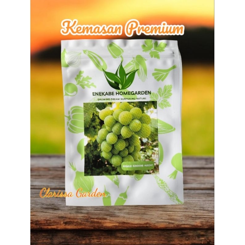 (KEMASAN PREMIUM) BIJI/BENIH TANAMAN ANGGUR SUNSHINE MUSCAT (isi 10 butir)