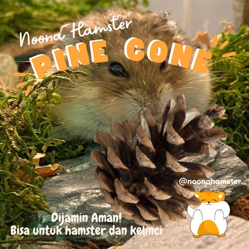 Jual PINE CONE MAINAN GIGITAN HAMSTER UNTUK KESEHATAN GIGI | Shopee ...