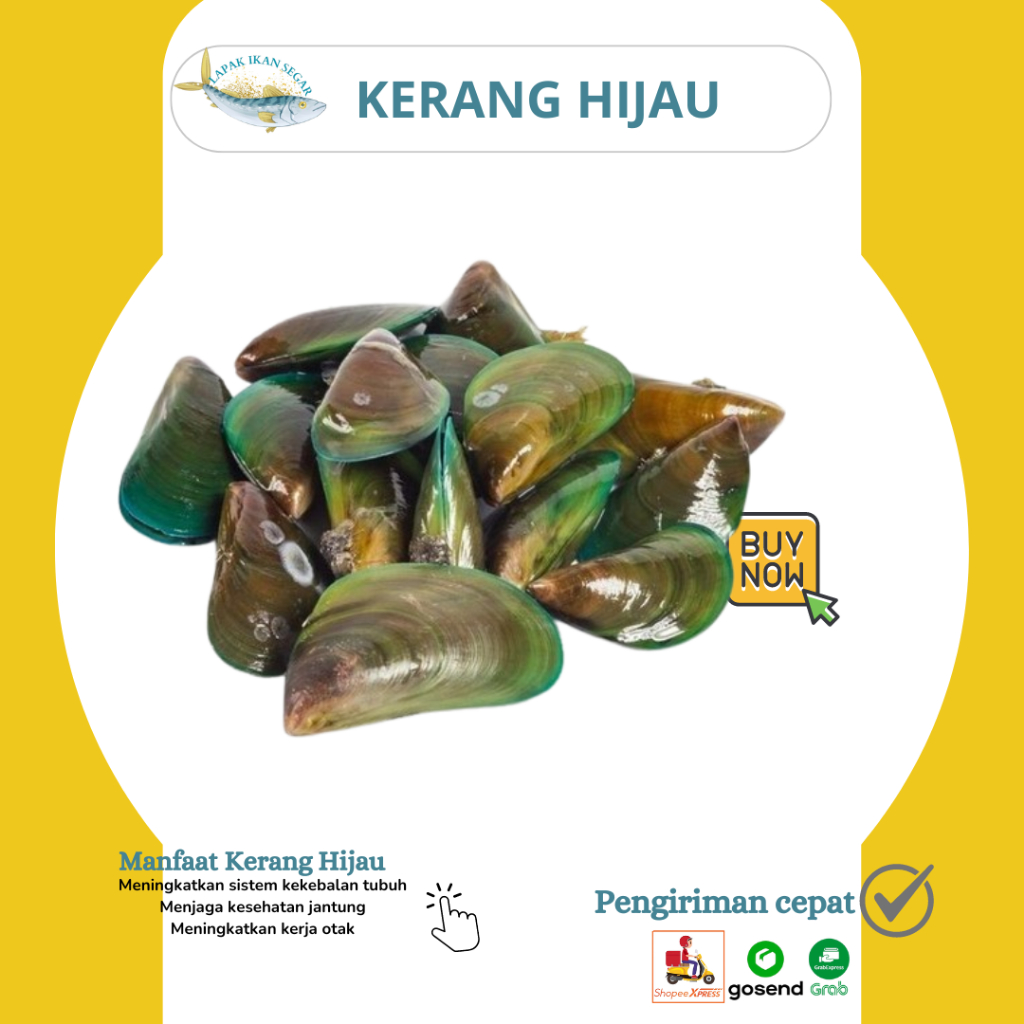 Jual Kerang Hijau Kerang Ijo Segar Ukuran Besar 1Kg | Shopee Indonesia