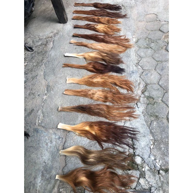 Jual EKOR/BUNTUT SAPI SUPER (RAMBUT BARONGAN) | Shopee Indonesia