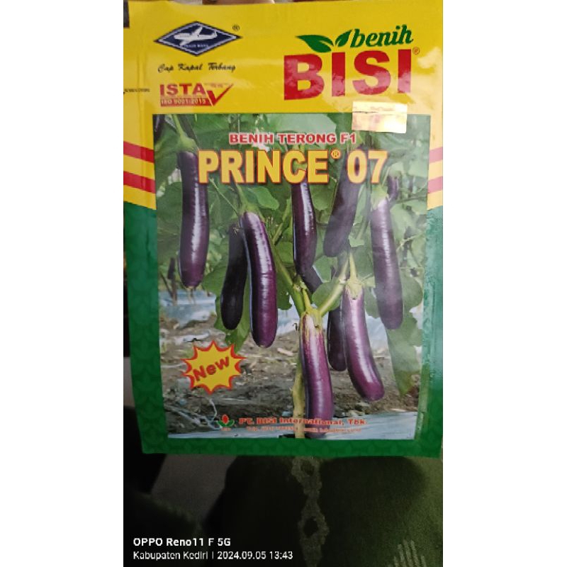Jual TERLARIS !!!.Prince 07 new f1,Benih terong ungu chai tai seed ...