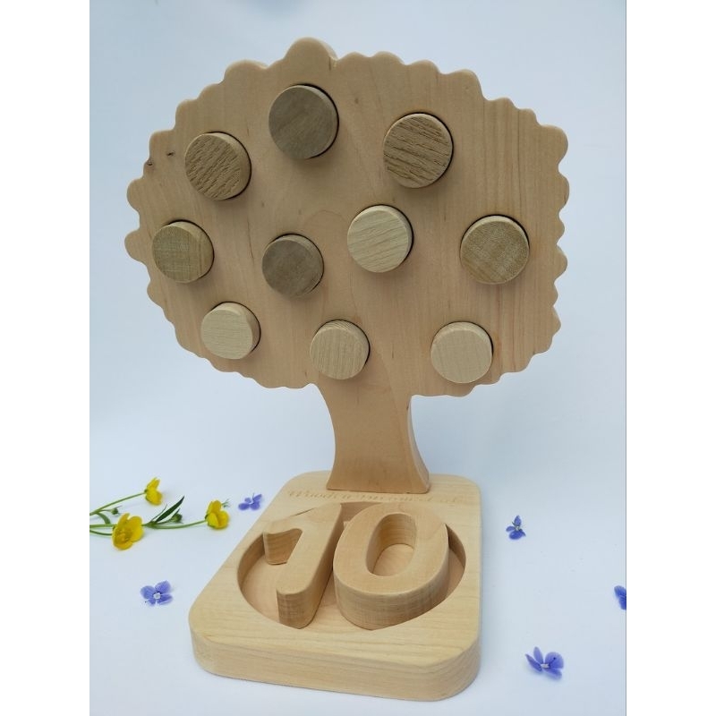 Jual Ten frame WITH NUMBERS SET/Montessori math counting tray 110