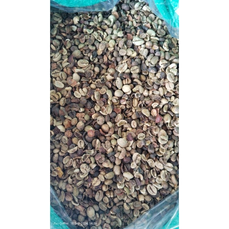 Jual Robusta Rijek 1 kg | Shopee Indonesia